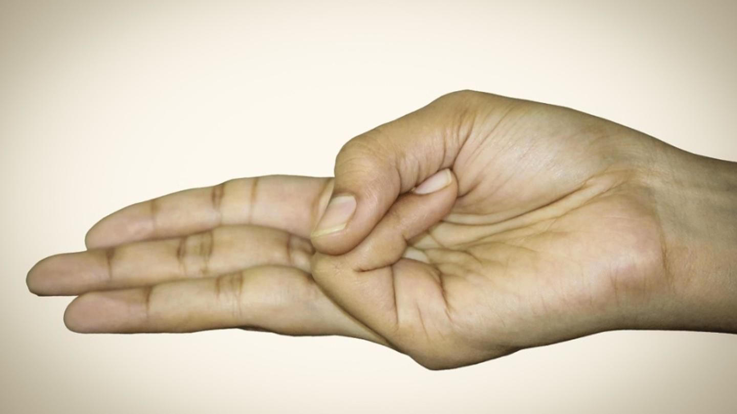 Jal Shaamak Mudra hamsa hand represents