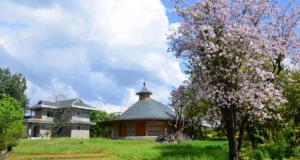 Osho Nisargam Meditation Center